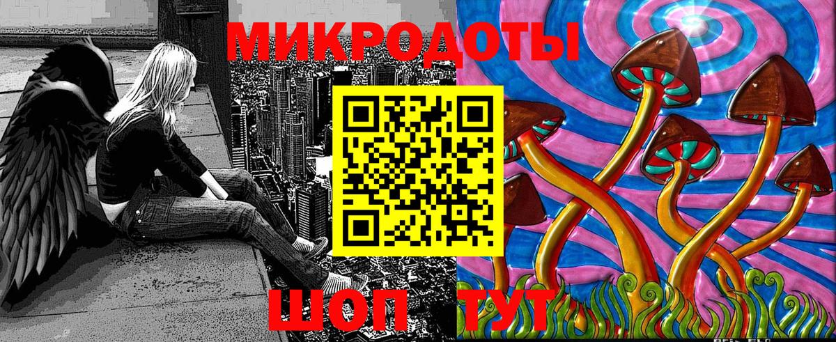Псилоцибиновые грибы Psilocybe Нижний Новгород