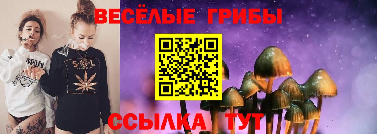 Нижний Новгород  Галлюциногенные грибы Psilocybe  цена   Вход с VPN  Галлюциногенные грибы MAGIC MUSHROOMS 